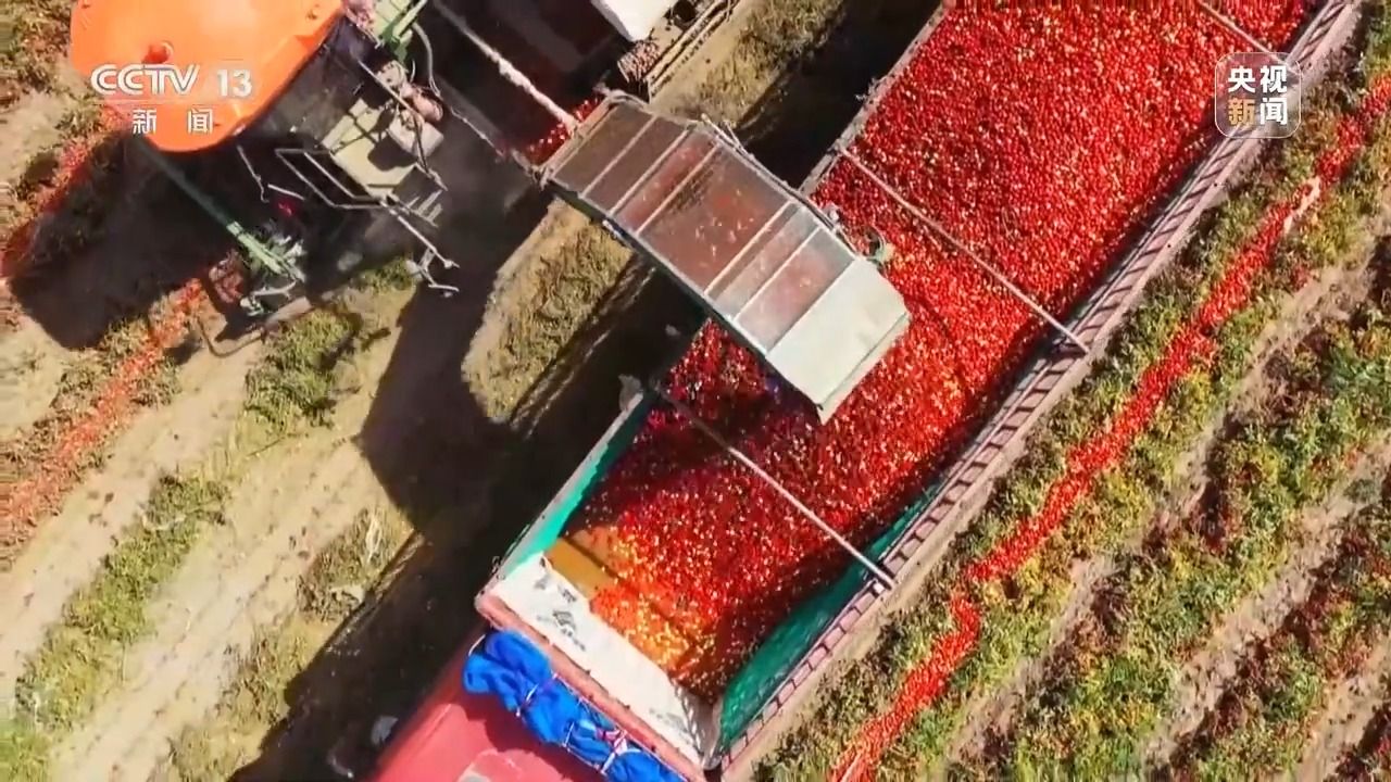 深耕科技沃土 培植智慧農(nóng)業(yè)——有機(jī)稻谷種植研發(fā)之路