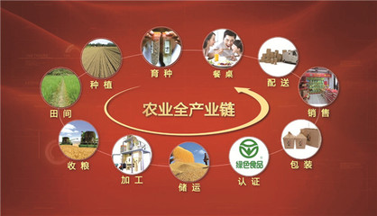 東方糧倉 有機(jī)稻谷種植研發(fā)領(lǐng)軍者，榮膺農(nóng)業(yè)產(chǎn)業(yè)化國家重點(diǎn)龍頭企業(yè)