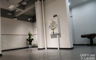 重慶個(gè)人房源網(wǎng)倉(cāng)儲(chǔ)服務(wù) 靈活便捷的儲(chǔ)物解決方案